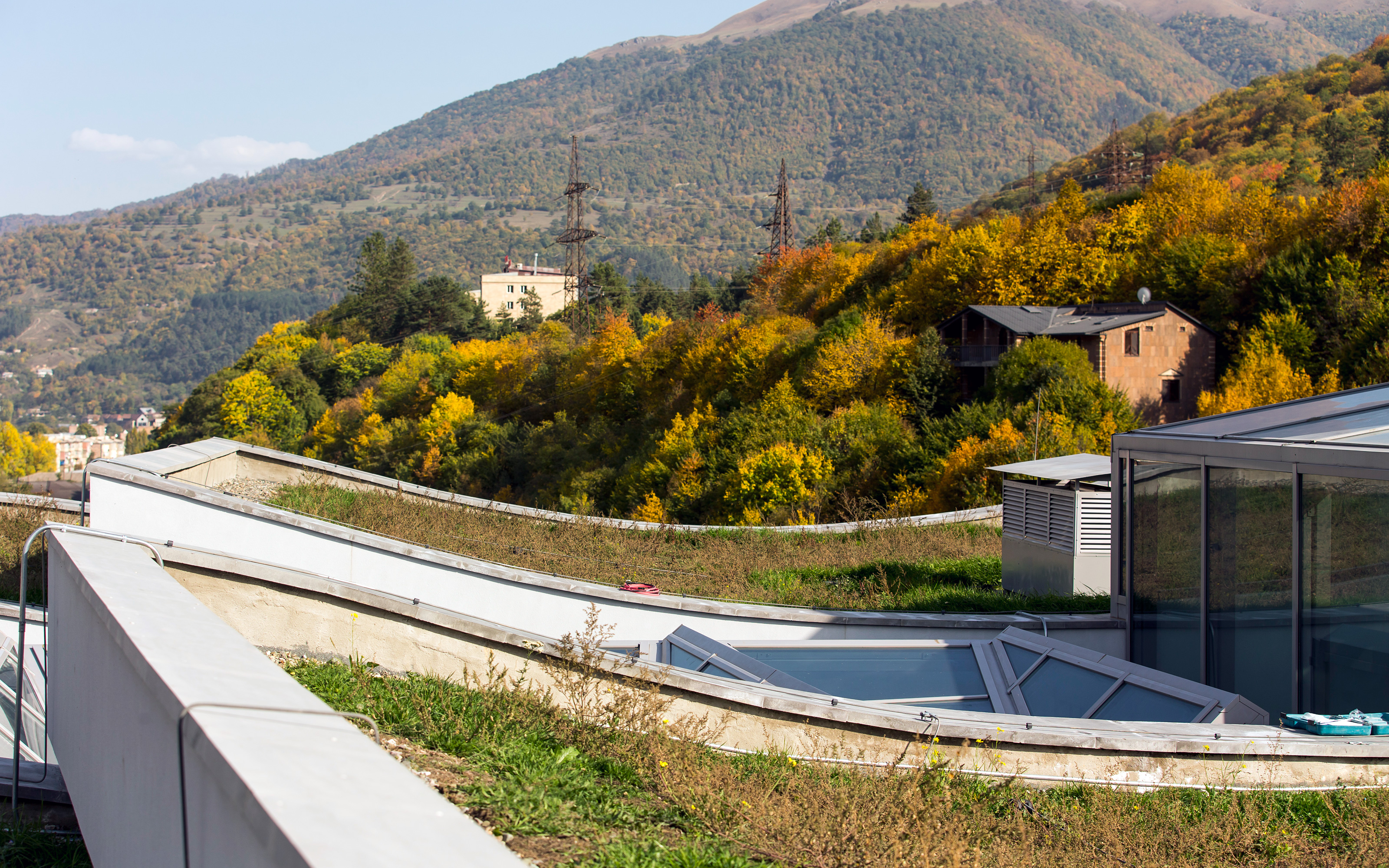 Plants on a green roof